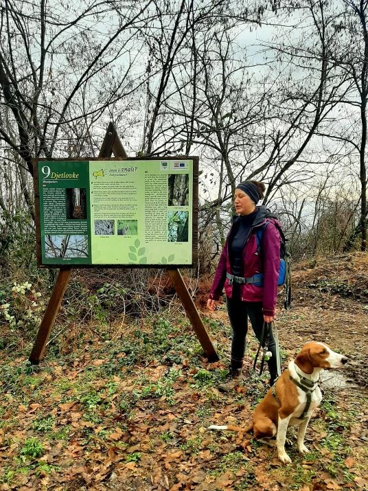 Koracima kroz vinograde i povijest Požeške gore: Zimski vincelovski pohod u Pleternici