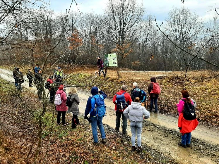 Koracima kroz vinograde i povijest Požeške gore: Zimski vincelovski pohod u Pleternici