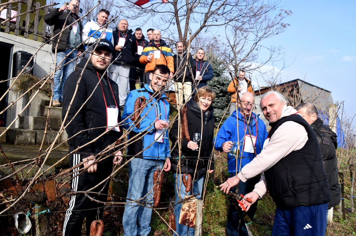 Vincelovo kod Ivanovića na Sokolovcu: DJ Pavka rezao lozu, a harmonikaš Dražen grijao atmosferu