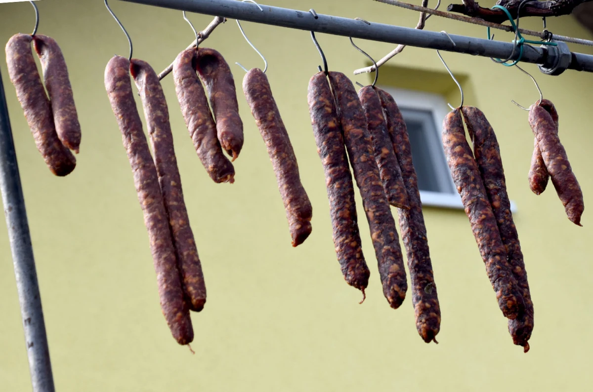 Vincelovo kod Ivanovića na Sokolovcu: DJ Pavka rezao lozu, a harmonikaš Dražen grijao atmosferu