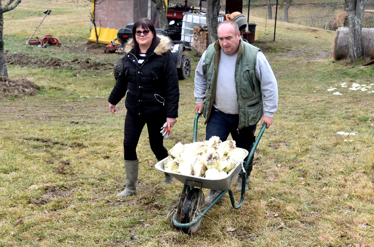Spoj kista, volana i farme: Obitelj Bošnjak u Lukaču uz osnovne poslove stvorila raj za mangulice