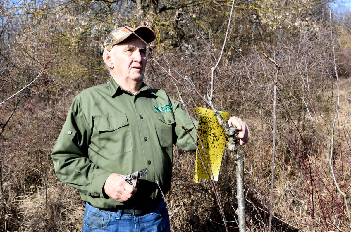 Šumarska duša u kutjevačkom trsu: Ante Miličević stvara vina u dosluhu s prirodom