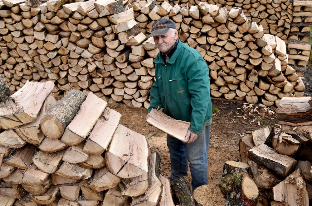 Zime se ne boji: Branko Guzmić iz Radovanaca već pripremio drva za sljedeću sezonu