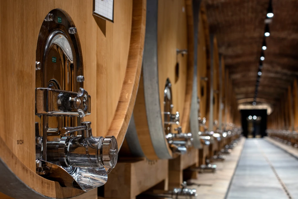 Vinarija Kutjevo zapošljava degustatore vina