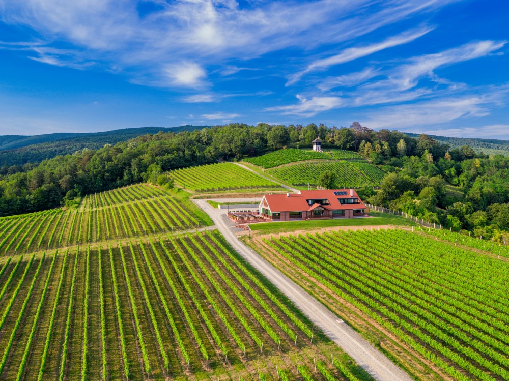 Vinarija Kutjevo zapošljava degustatore vina