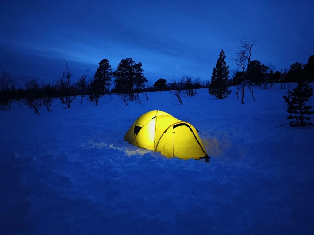 Rođendan u norveškim planinama: Hrvoje i Josip u potrazi za mošusnim govedom