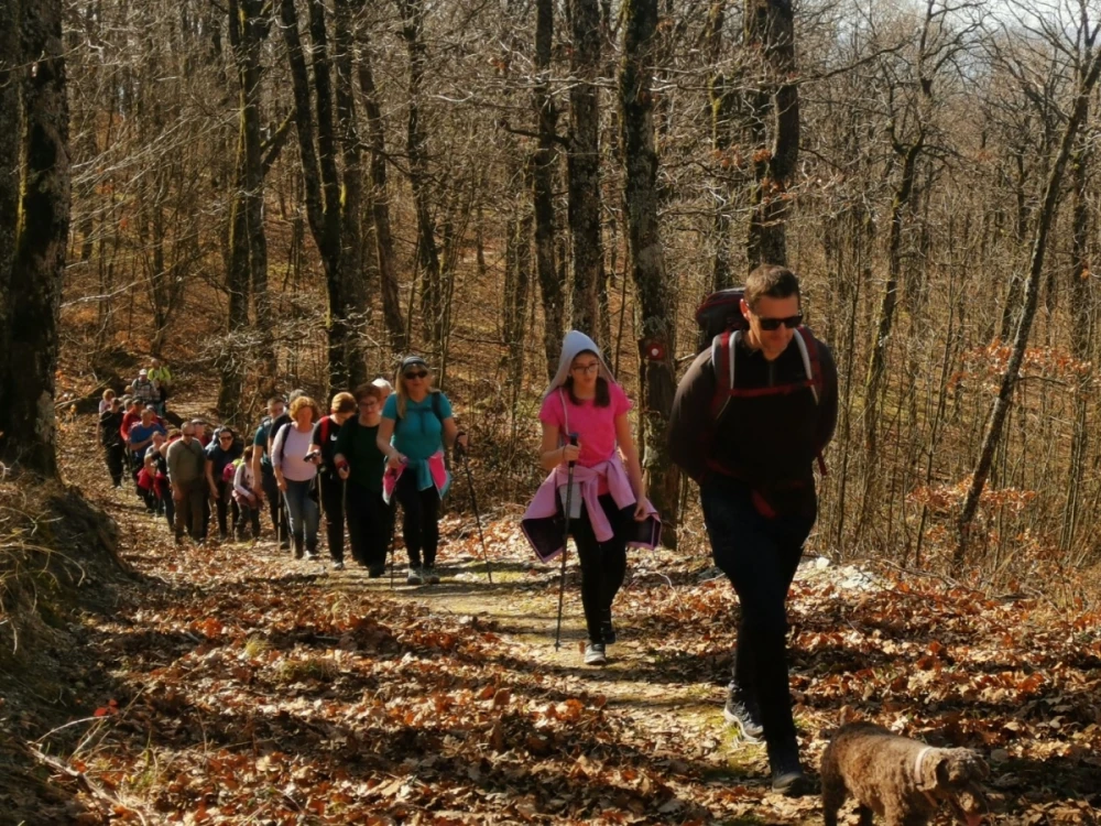 Dođite na Srimušijadu u Veliku: Očekuju vas planinarenje, dobro društvo i omlet sa srimušem 