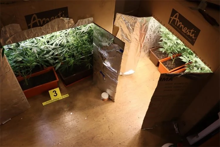 42-godišnjak osumnjičen za neovlaštenu proizvodnju i promet drogama