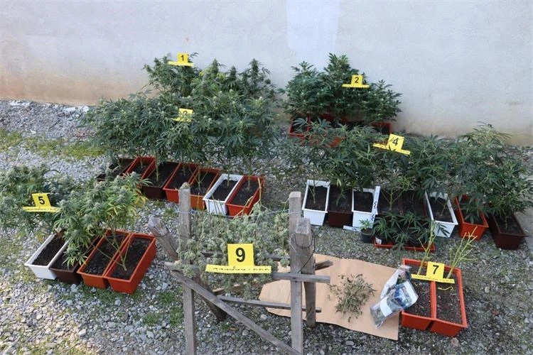 42-godišnjak osumnjičen za neovlaštenu proizvodnju i promet drogama