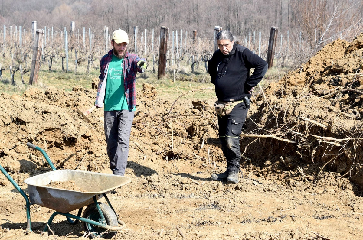 POVRATAK KORIJENIMA: Na Kaptolu se otkopava europska povijest stara tisućljećima