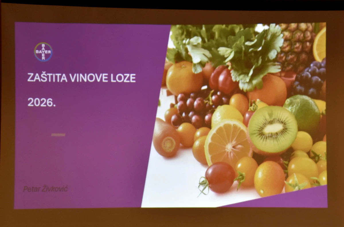 Vetovački vinogradari spremni za novu sezonu: Održano stručno predavanje u Lukaču