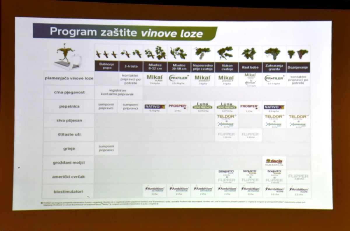 Vetovački vinogradari spremni za novu sezonu: Održano stručno predavanje u Lukaču