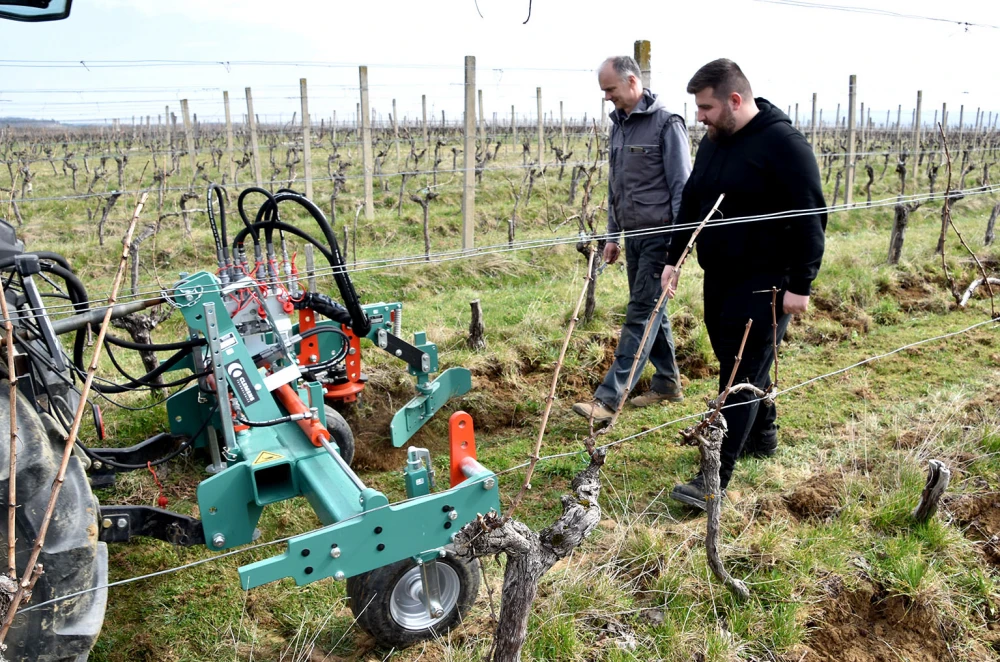 Kad nema radnika, stižu strojevi: Vinarija Perak modernizacijom čuva budućnost graševine 