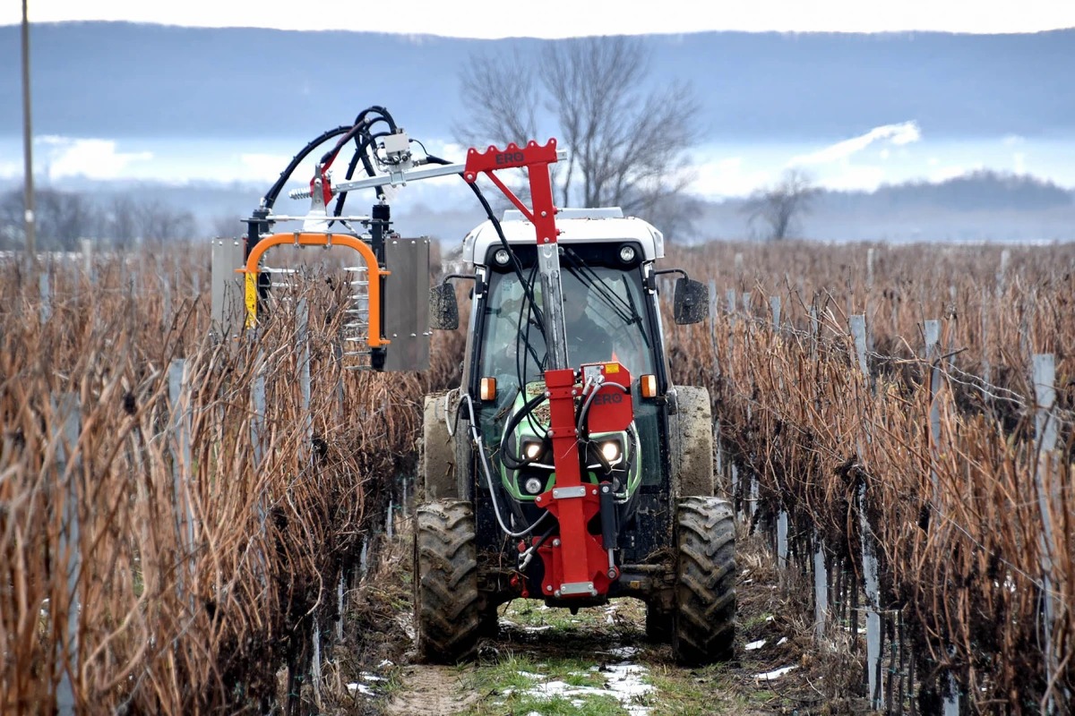 Kad nema radnika, stižu strojevi: Vinarija Perak modernizacijom čuva budućnost graševine 