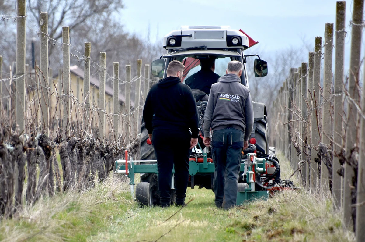 Kad nema radnika, stižu strojevi: Vinarija Perak modernizacijom čuva budućnost graševine 
