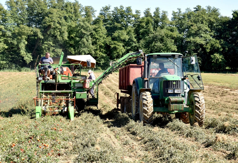 Veliki projekti i potpore: Požeško-slavonska jača poljoprivredu