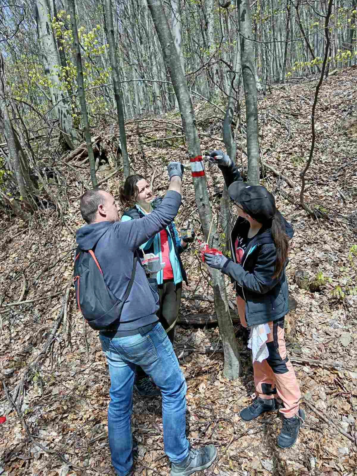 Požeški planinari ojačali markacističku sekciju