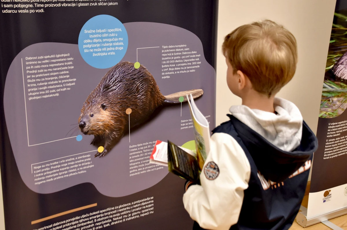 Dabar kao čuvar prirode: Izložba koja podsjeća na važnost očuvanja okoliša