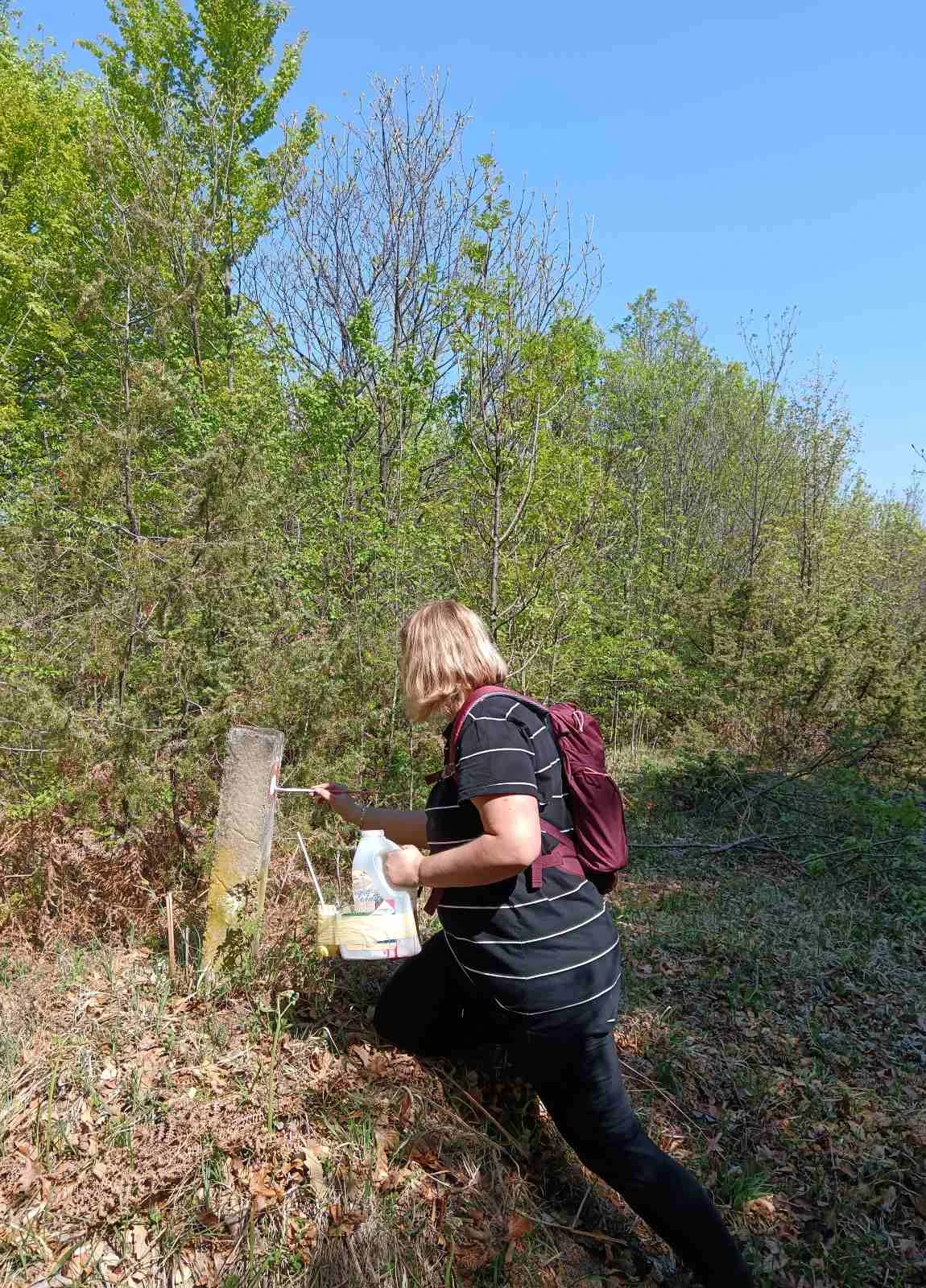 Markacisti Sokolovca obnovili dio staze na Požeškoj gori