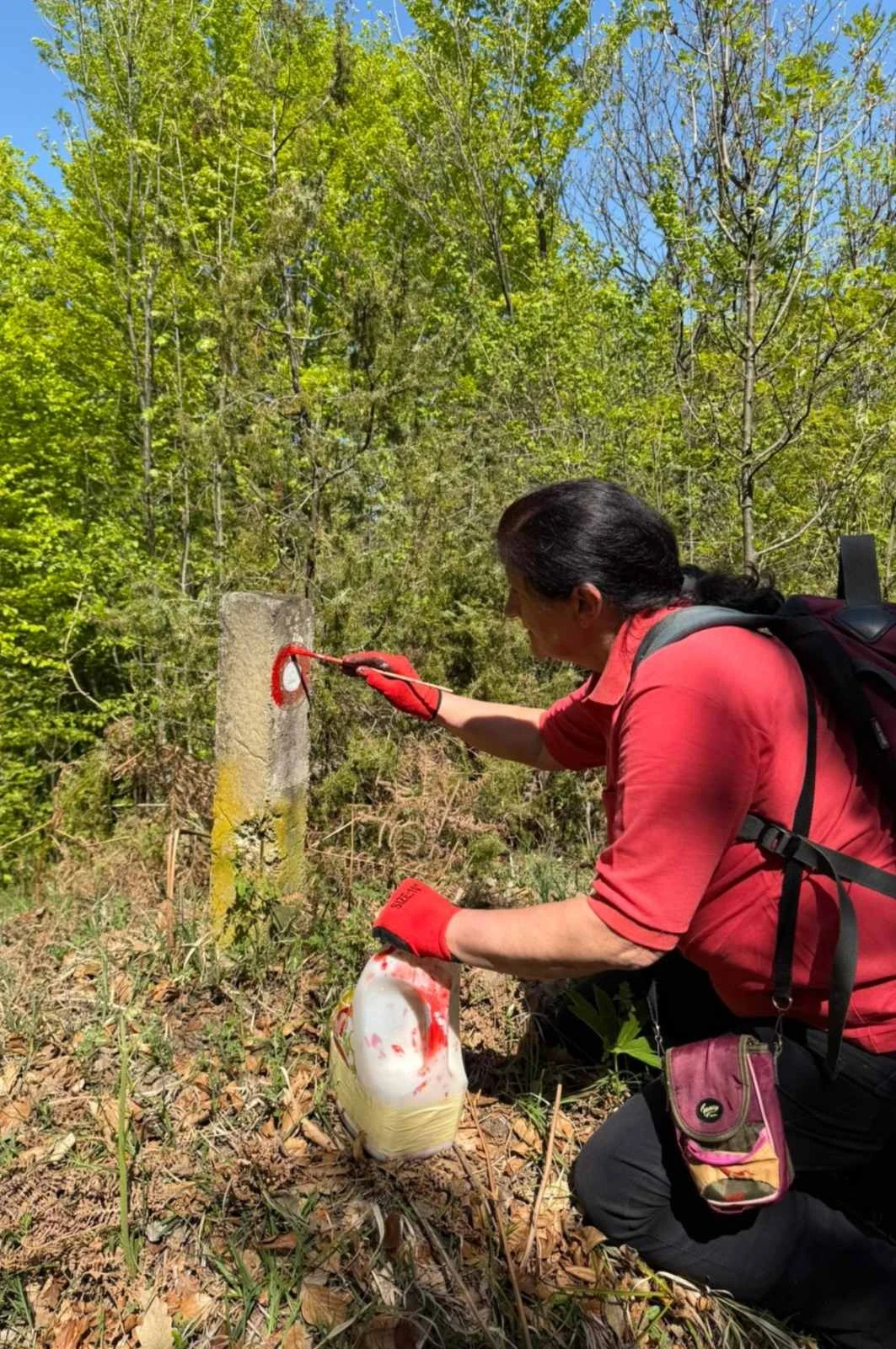 Markacisti Sokolovca obnovili dio staze na Požeškoj gori