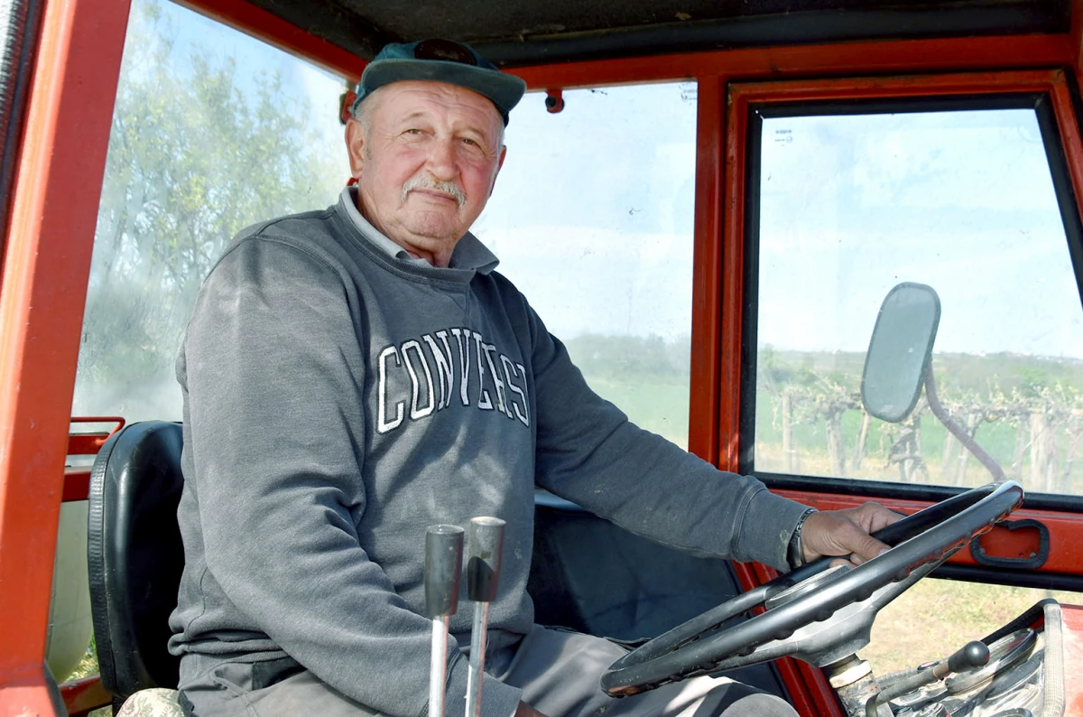 Vinogradari započeli zaštitu: Pravovremena reakcija ključ uspjeha sezone