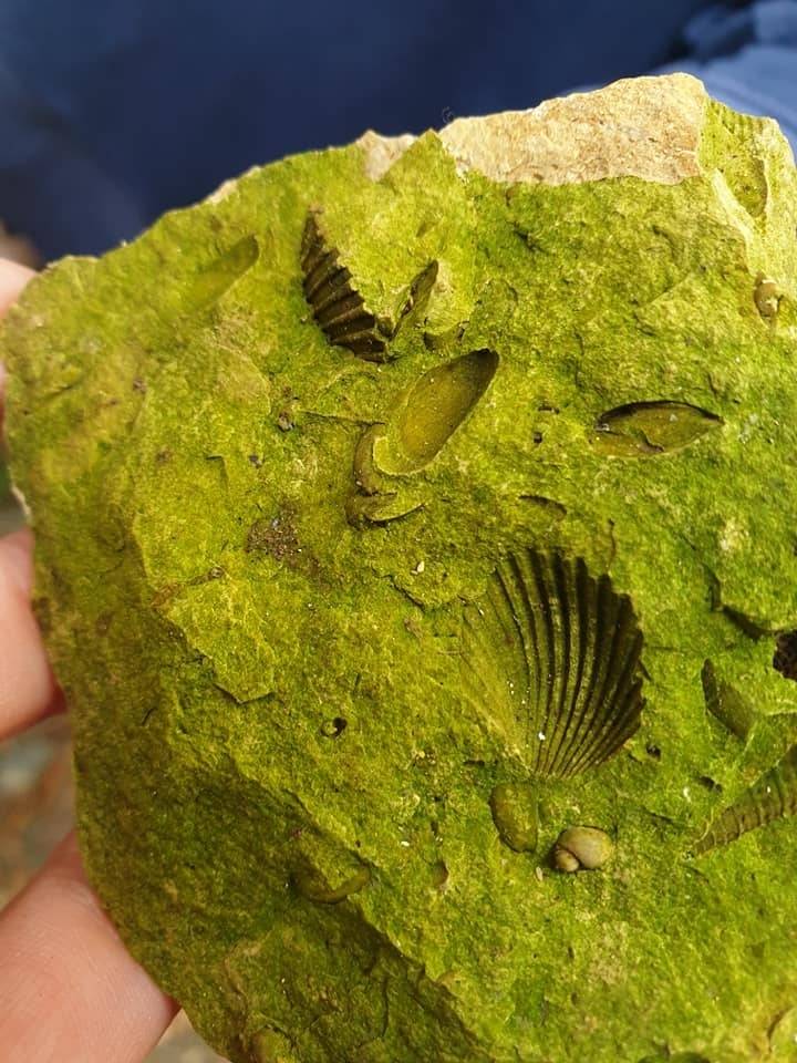 Jugozapadni obronci Dilj gore su otkriće za planinare