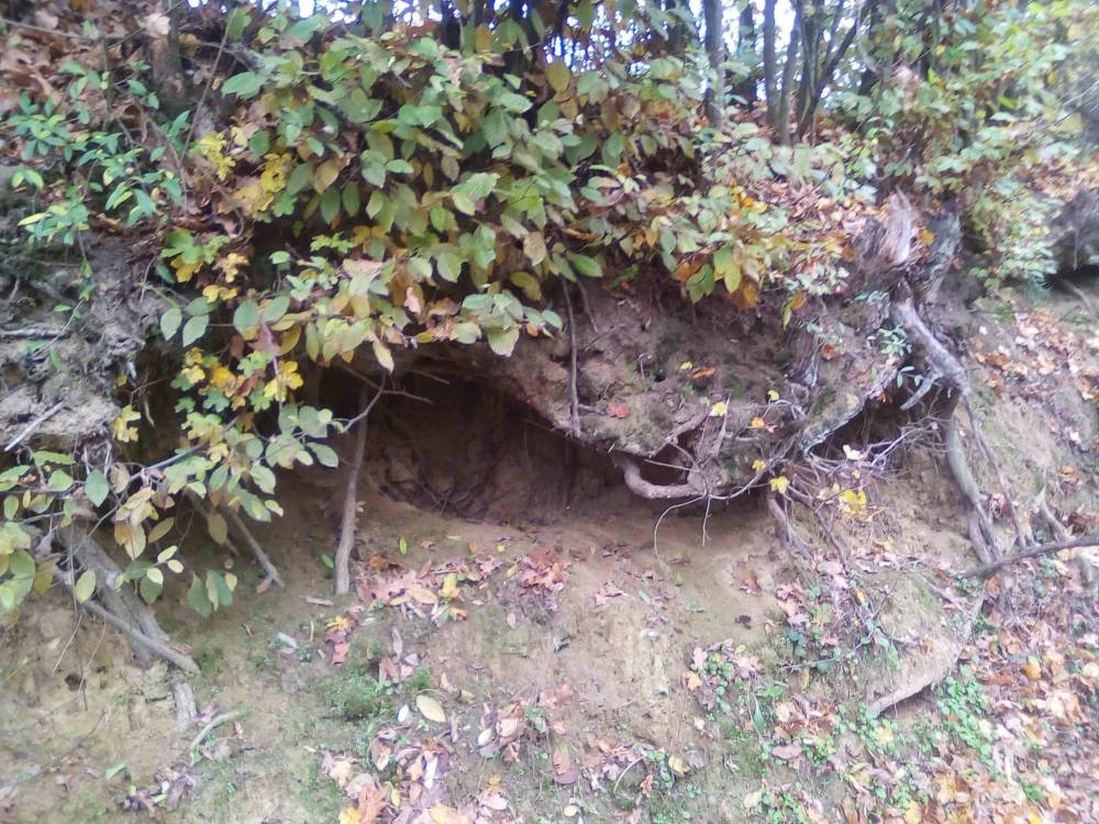 Jugozapadni obronci Dilj gore su otkriće za planinare