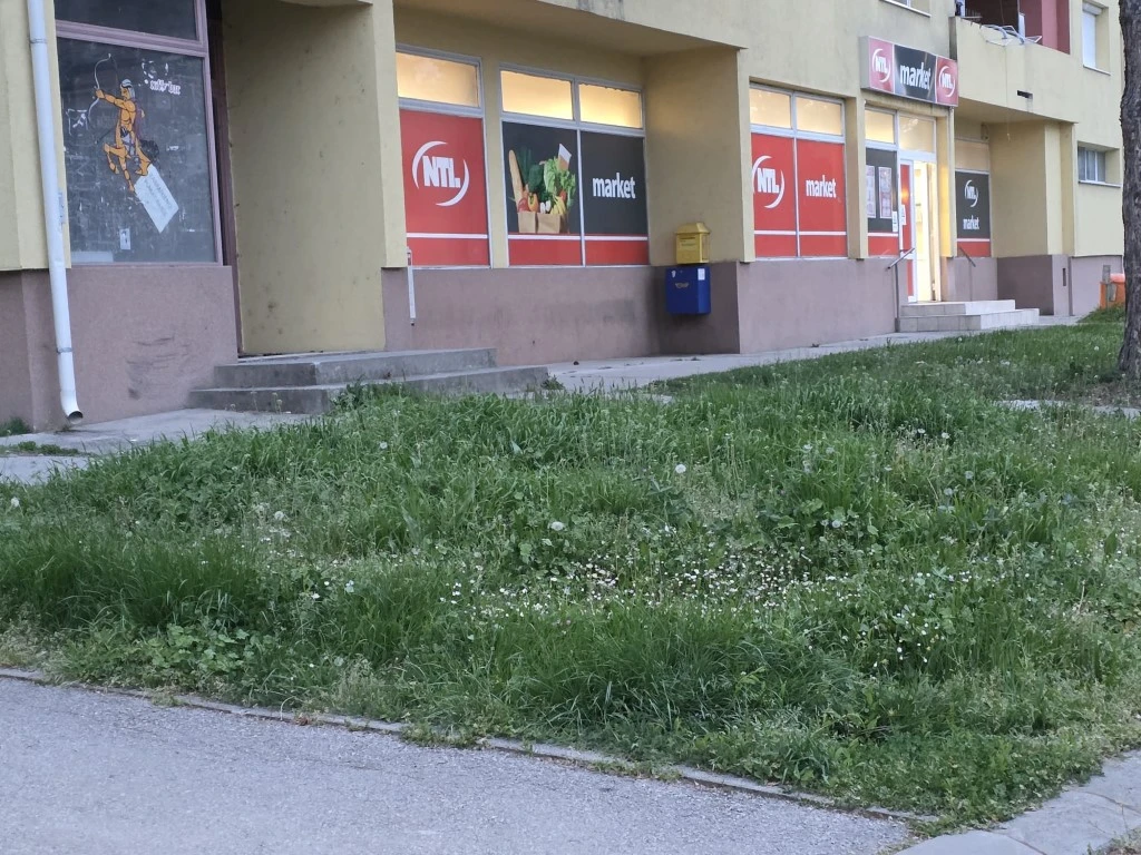 Direktorica gradskog poduzeća prima gotovo 3.200 eura plaće, a Požega zarasta u travu!