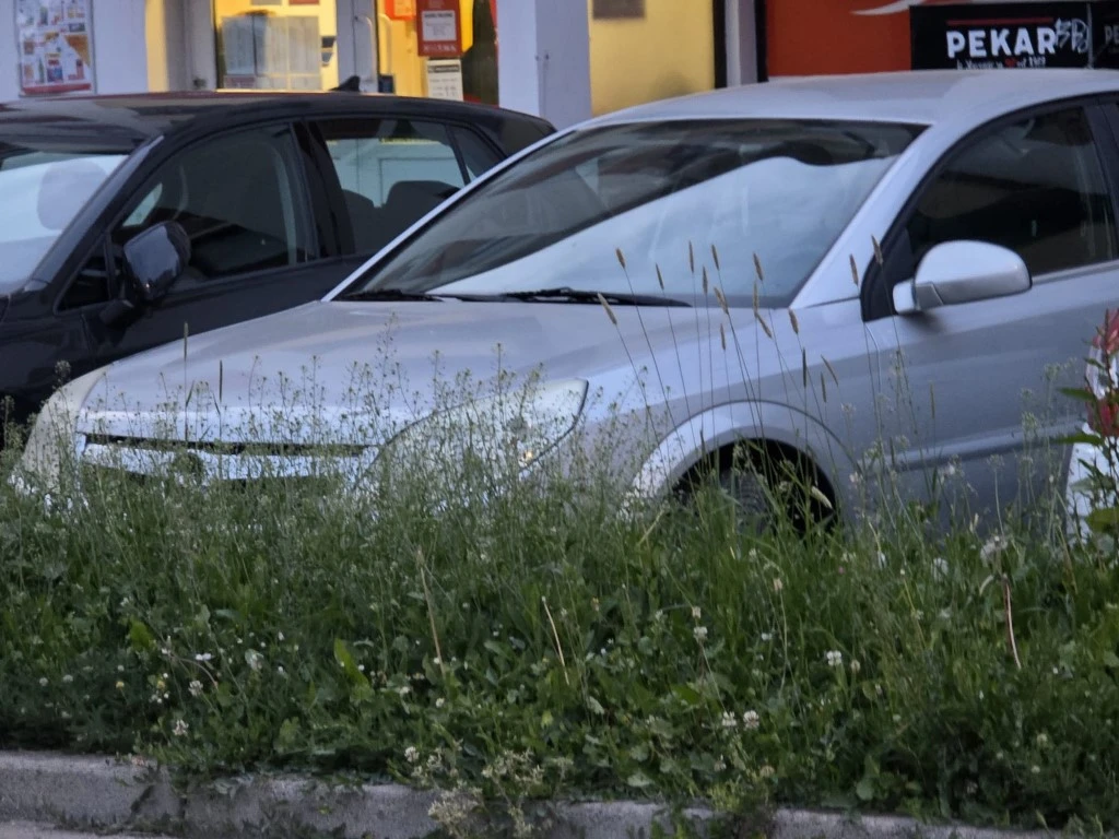 Direktorica gradskog poduzeća prima gotovo 3.200 eura plaće, a Požega zarasta u travu!