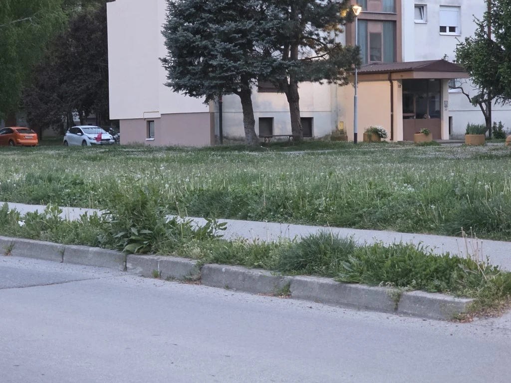 Direktorica gradskog poduzeća prima gotovo 3.200 eura plaće, a Požega zarasta u travu!
