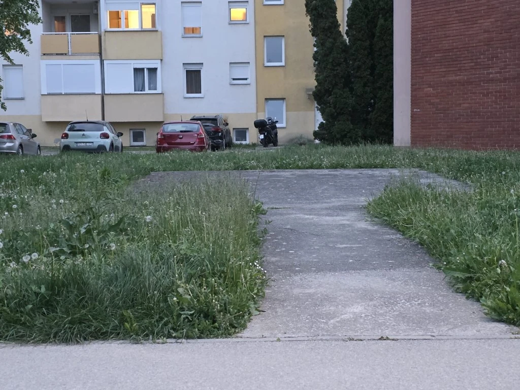 Direktorica gradskog poduzeća prima gotovo 3.200 eura plaće, a Požega zarasta u travu!