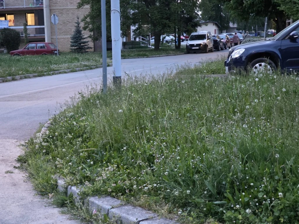 Direktorica gradskog poduzeća prima gotovo 3.200 eura plaće, a Požega zarasta u travu!