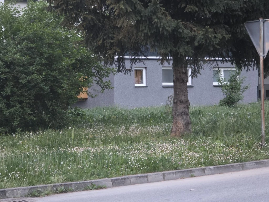 Direktorica gradskog poduzeća prima gotovo 3.200 eura plaće, a Požega zarasta u travu!