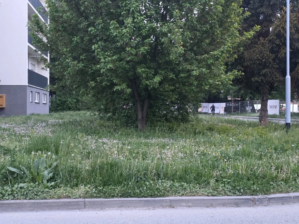 Direktorica gradskog poduzeća prima gotovo 3.200 eura plaće, a Požega zarasta u travu!