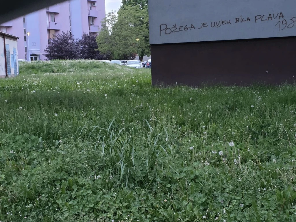 Direktorica gradskog poduzeća prima gotovo 3.200 eura plaće, a Požega zarasta u travu!