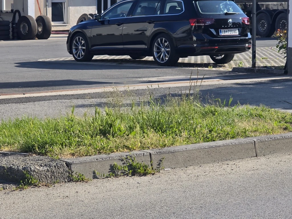 Nepokošena Dubrovačka ulica dočekuje tisuće mladih – slika koja ne priliči Požegi