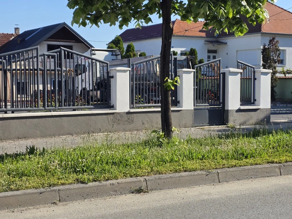 Nepokošena Dubrovačka ulica dočekuje tisuće mladih – slika koja ne priliči Požegi