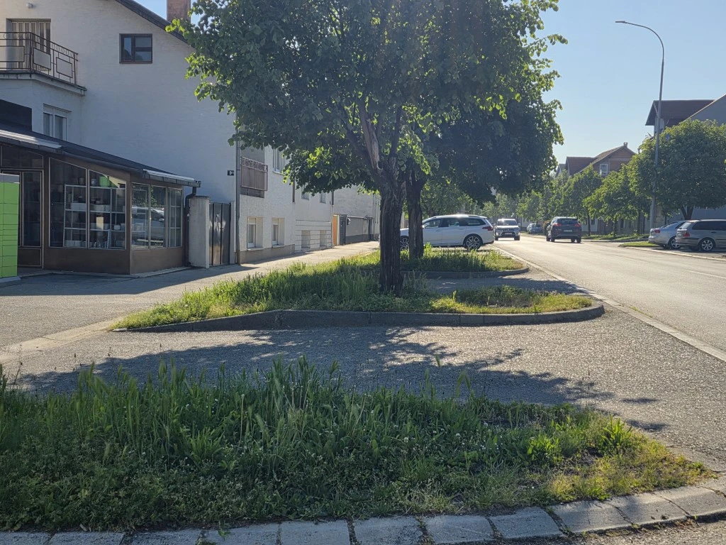 Nepokošena Dubrovačka ulica dočekuje tisuće mladih – slika koja ne priliči Požegi