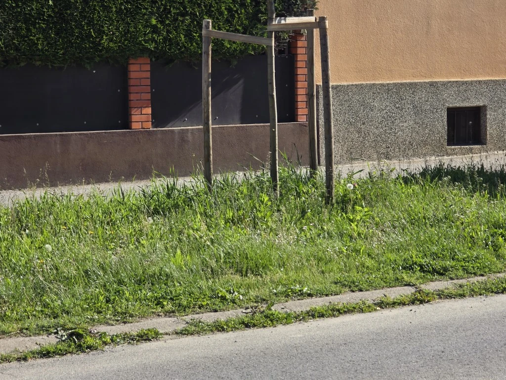 Nepokošena Dubrovačka ulica dočekuje tisuće mladih – slika koja ne priliči Požegi