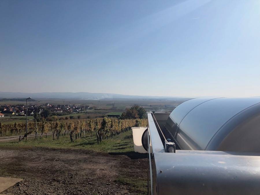 Branko Mihalj definitivno spada među četiri najbolja vinara u Kutjevu