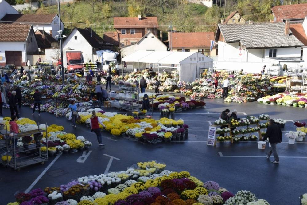 Započela prodaja cvijeća iza Gradske kuće