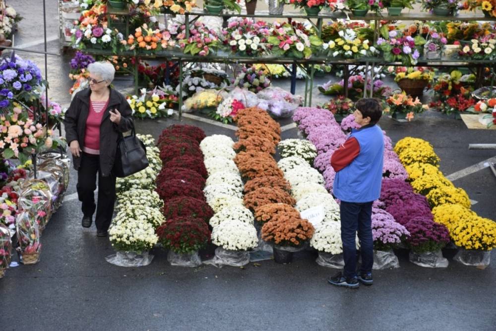 Započela prodaja cvijeća iza Gradske kuće