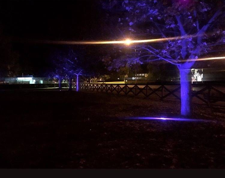 Novouređeni velički park postao atraktivno mjesto za okupljanje Veličana