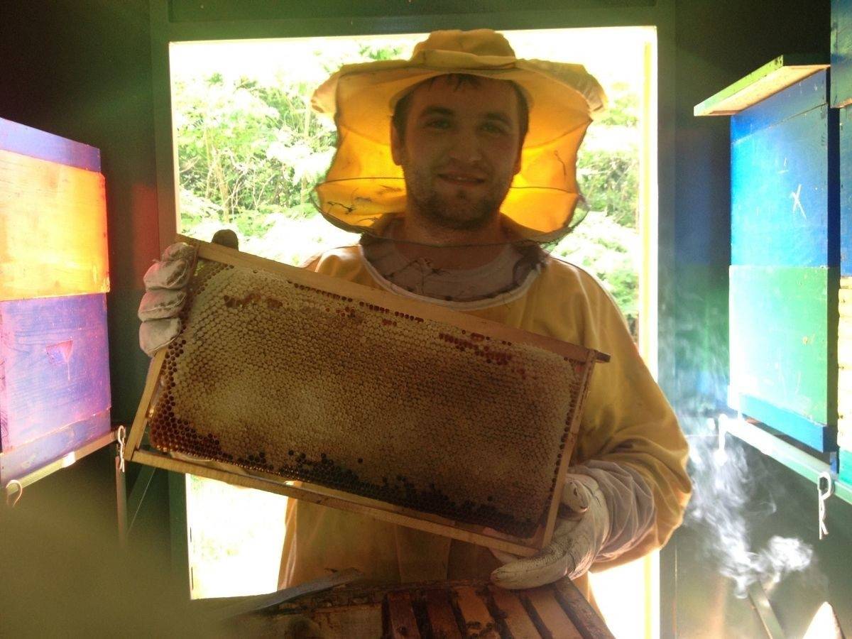 Čokomed - čokoladni med obitelji Krivačić iz Zlatne doline