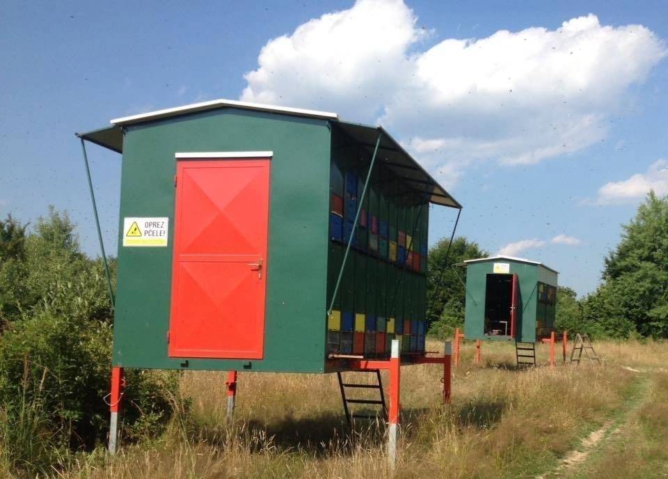 Čokomed - čokoladni med obitelji Krivačić iz Zlatne doline