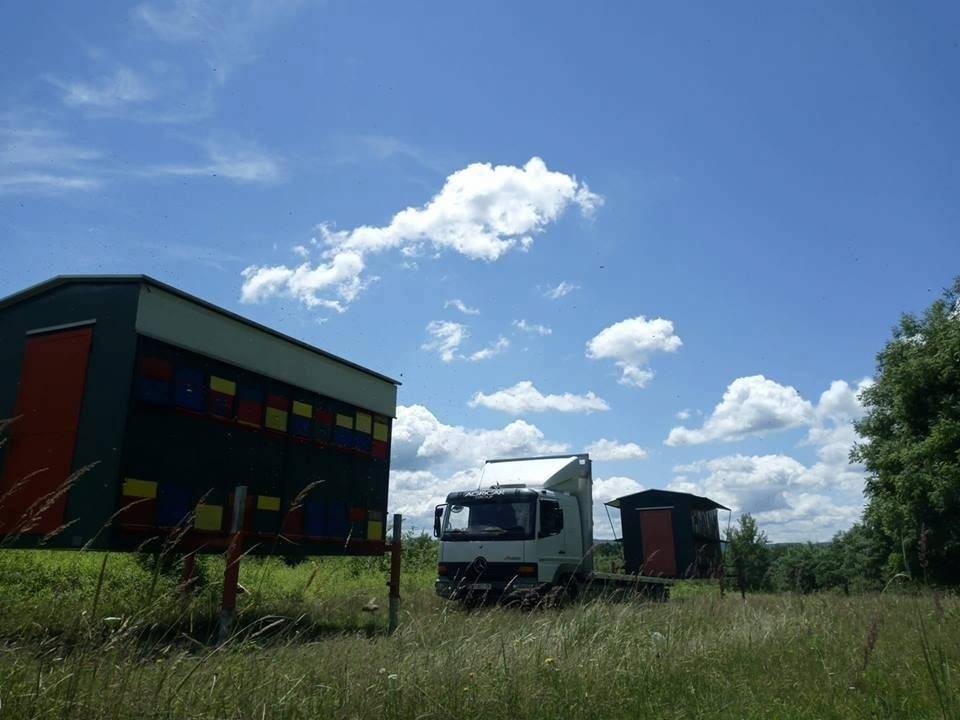 Čokomed - čokoladni med obitelji Krivačić iz Zlatne doline