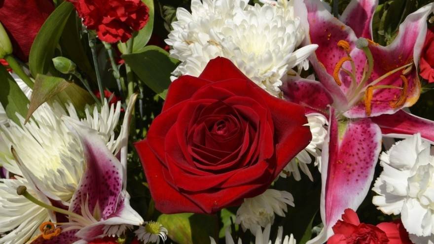 U susret Valentinovu- koje cvijeće izabrati za poklon ljepšoj polovici!?