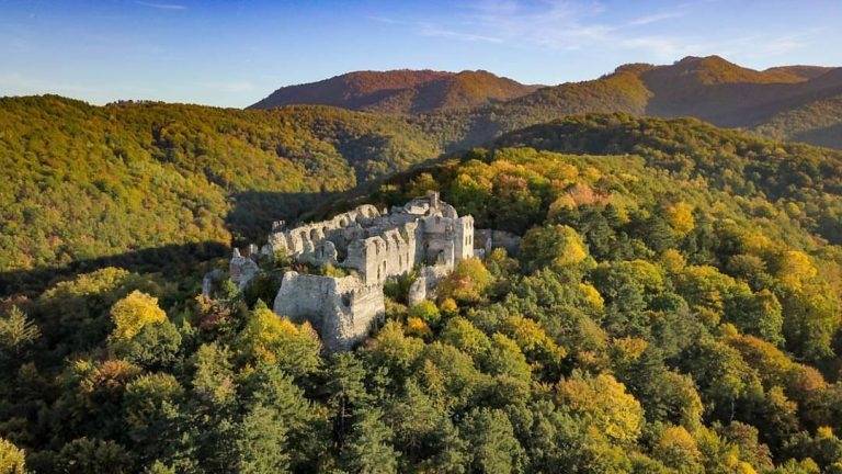 Park prirode Papuk učinio prvi ozbiljan korak za spas srednjovjekovne palače Ružice grada