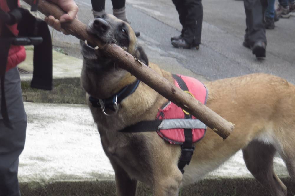 Ugodno duštvo, dobro raspoloženje i planinarska oprema obilježili i ovogodišnje Papučke jaglace
