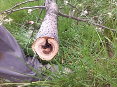 Potkornjak - koje su mjere zaštite i kada imaju svrhu